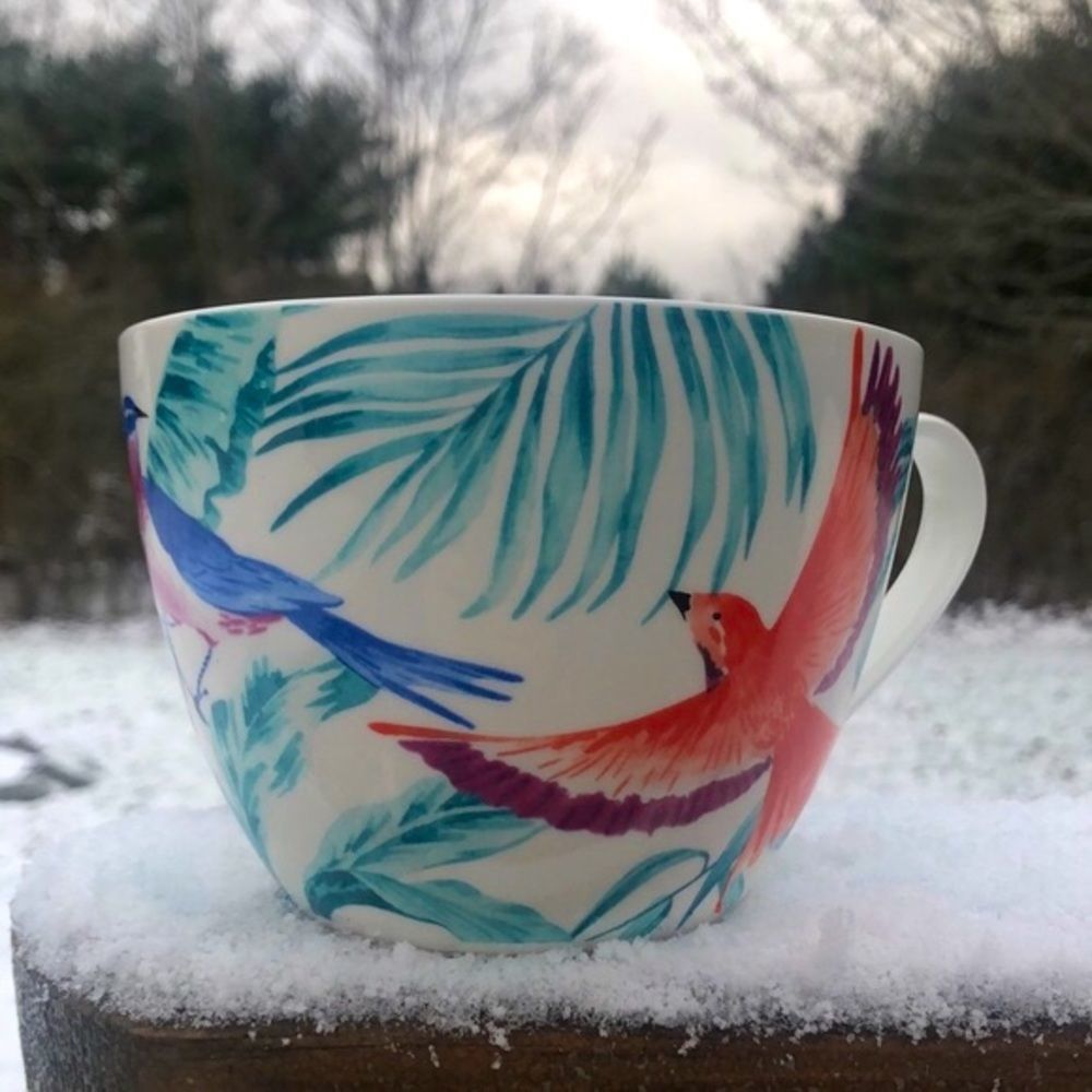 2/$25 🍣 New 20oz Mug with Bold Beautiful Birds
